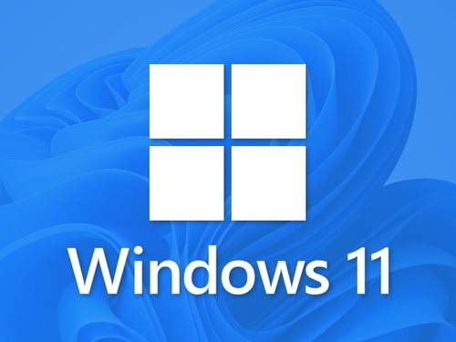 Windows 11 Pro for Workstation 64-bit Main Picture