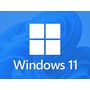 Windows 11 Pro 64-bit  Picture 71583
