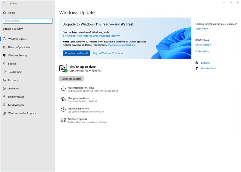 Screenshot of Windows Update showing Windows 11 upgrade ready