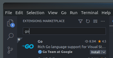 go vscode extension image