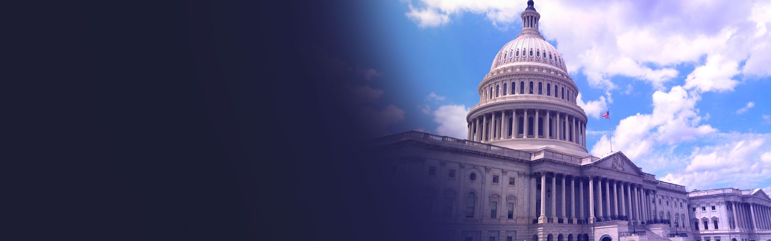 Government and Education Page Banner with US Capitol Building and Gradient